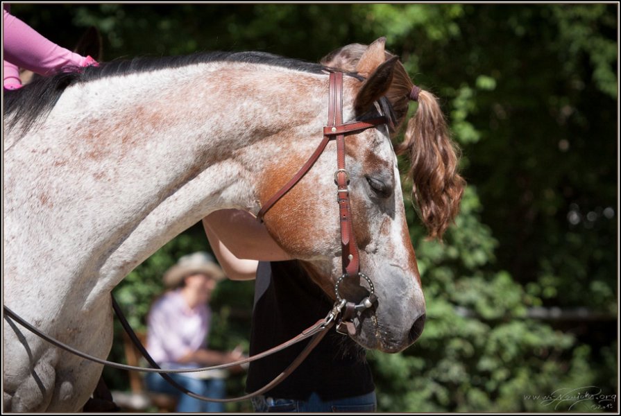 Thalmeier Ranch 2014 06 15 - 086